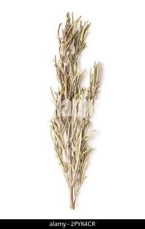Dried rosemary sprig, a branch of Salvia rosmarinus, from above Stock Photo