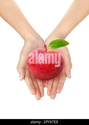 Beautiful woman hand holding a Fresh apple on a white isolated background Stock Photo