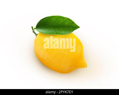 Fresh lemon fruit on white background,Juicy lemon. Stock Photo