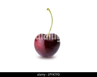 Cherry Isolated on White Background Stock Photo