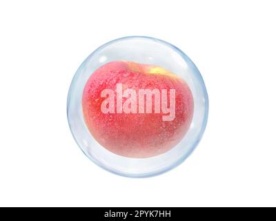 Fresh apples, in bubble isolated on white background Stock Photo