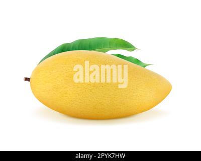 Golden yellow ripe mango fruit isolate on white background Stock Photo