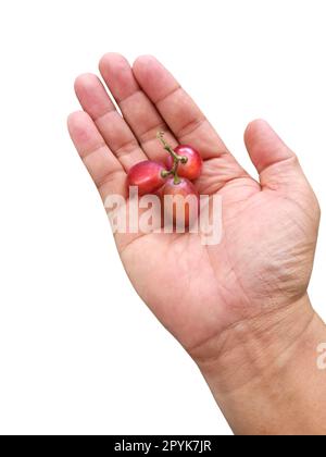 Grape fruit isolated on white background Stock Photo