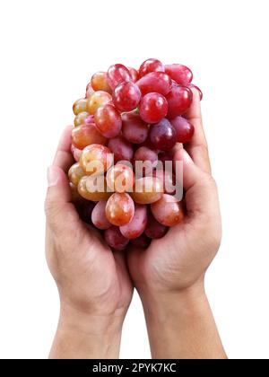 grape fruit in hand on white background Stock Photo