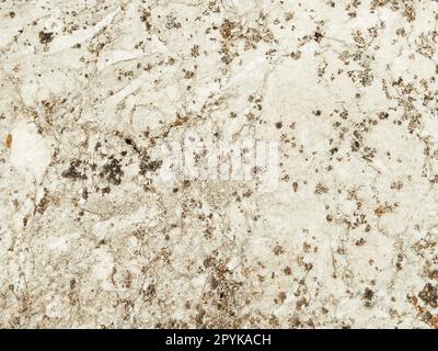 The textured surface of a concrete wall, marble or light stone with dark spots. Abstract background. Creative background light gray with red and brown pieces of moss, dirt and dust. Stock Photo