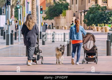 Two friends mothers with strollers and kids and dog walking to pedestrian crossing at city street. Safety and motherhood concept Stock Photo