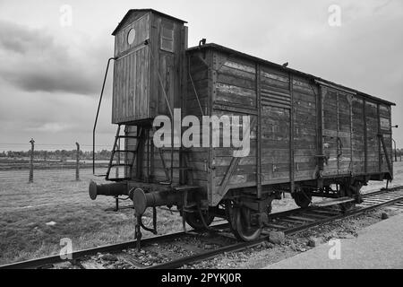 railway cars transporting prisoners to toconcentration camp in Poland from World War II Stock Photo