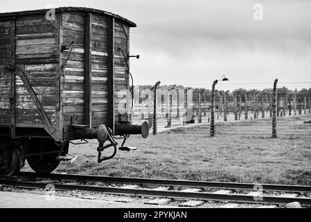 railway cars transporting prisoners to toconcentration camp in Poland from World War II Stock Photo