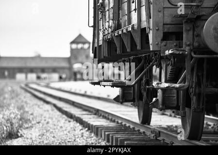 railway cars transporting prisoners to toconcentration camp in Poland from World War II Stock Photo