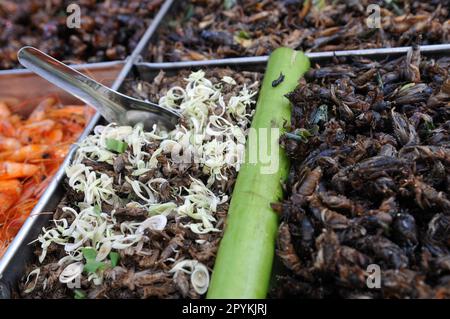 A Fried insects and bug vendor selling her snacks on Soi 7, Sukhumvit road, Bangkok, Thailand. Stock Photo