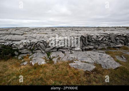 dry stone wall made of local limestone field land boundary the burren county clare republic of ireland Stock Photo