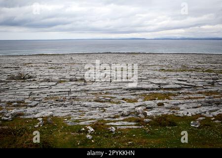 limestone pavement next to the coast of galway bay the burren county clare republic of ireland Stock Photo