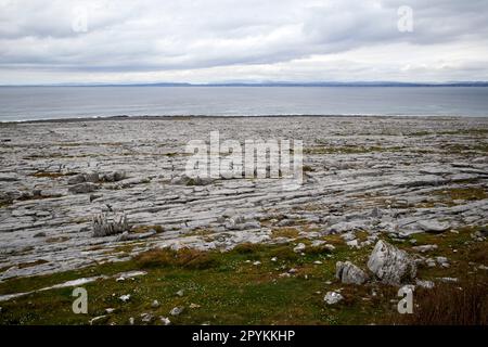 limestone pavement next to the coast of galway bay the burren county clare republic of ireland Stock Photo