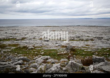 limestone pavement next to the coast of galway bay the burren county clare republic of ireland Stock Photo