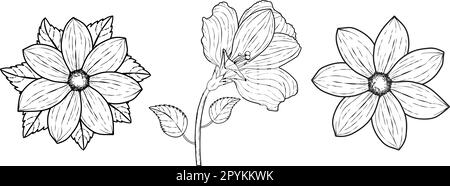 Hibiscus flowers drawing and sketch with line art. Trendy botanical elements. Stock Vector