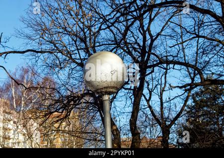 Street lamp in the park on a sunny evening, Moscow Stock Photo