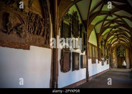 Cloister, Basel Minster, originally a Catholic cathedral and today a Reformed Protestant church. The original cathedral was built between 1019 and 150 Stock Photo