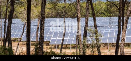 parque de energía solar fotovoltaica, ses Barraques, Calviá, Mallorca, Balearic Islands, Spain Stock Photo