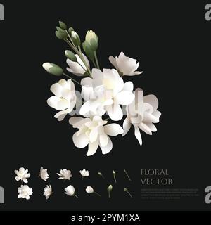 front-angle white flowers bouquet vector illustration seamless and detailed Stock Vector