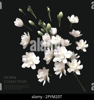 white flowers bouquet vector illustration seamless Stock Vector