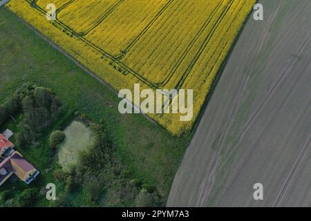 Aerial photography made with a drone of a farm and its crops during a sunny day. Panoramic view of a farm field on the side of a house surrounded by f Stock Photo