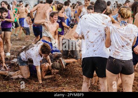 gran batalla de la uva -Gran Batalla Del Raïm-, fiestas de Es Vermar, Binissalem, Mallorca, islas baleares, Spain, europa Stock Photo