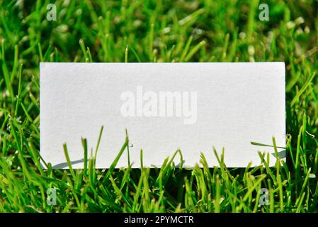 Empty poster in green grass. Mock up poster for advertisement copy space. Template white frame in gardening grass. Stock Photo