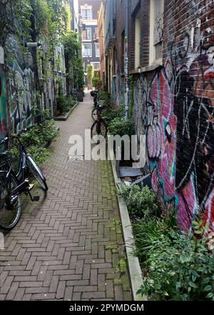 Typical Amsterdam street scene of street art graffiti and parked ...