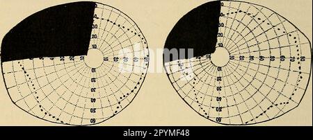 'A text-book of physiology : for medical students and physicians' (1916) Stock Photo