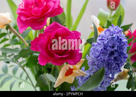 Mixed flowers in a vase (hyacinth, roses, daffodil). Stock Photo