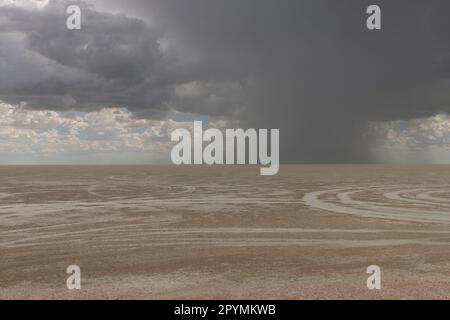 scenic rain clouds over the etosha pan in namibia Stock Photo