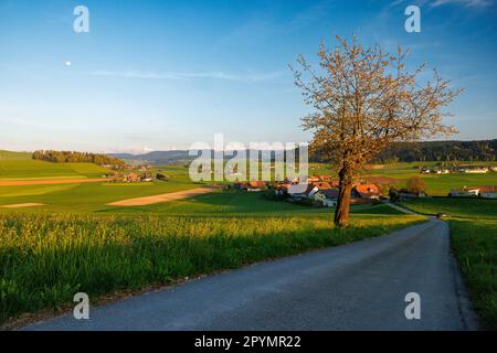 view from Enggist towards Bernese Alps in Emmental Stock Photo