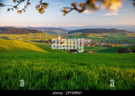 view of Biglen towards the alps in Emmental Stock Photo