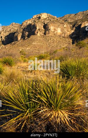 Smith Spring Trail views, Guadalupe Mountains National Park, Texas Stock Photo