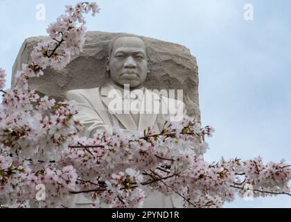 Martin Luther King, Jr. Memorial with cherry blossoms in foreground, Washington, DC Stock Photo