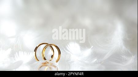 Detail of two gold rings standing on a reflective base and many white feathers around. Front view. Stock Photo