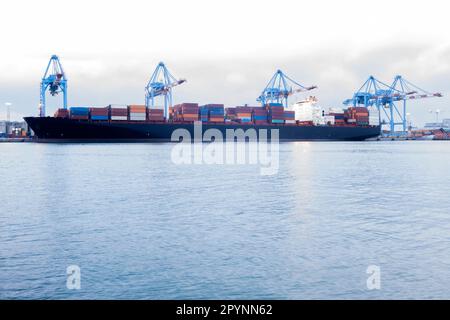 Cargo container ship in import export business logistic ,port of Genova, Italy Stock Photo