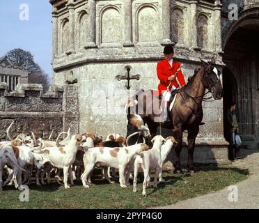 England. Cornwall. Master of Foxhounds on his horse with the pack of hounds at Lanhydrock Gatehouse, Bodmin. Stock Photo