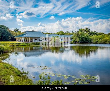 Royal Palm and Anhinga Trail area of Everglades National Park in Florida USA Stock Photo