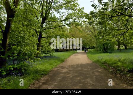 Trail in Wanstead Park, London Stock Photo