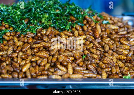 Fried silk worms delicious in street food in Thailand. They are deep fried until reaching a complete state of crispness, heavily salted, and eaten as Stock Photo