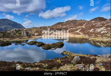 Innominate Tarn on the summit of Hay Stacks, Buttermere, Lake District, Cumbria Stock Photo