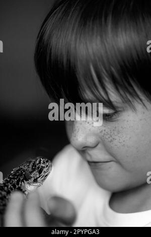 Portrait of boy with Red bearded Agama iguana. Little child playing with reptile. Selective focus. Black and white photography. High quality photo Stock Photo