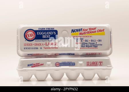 Two cartons of Egg-land's Best eggs on a white background. Stock Photo