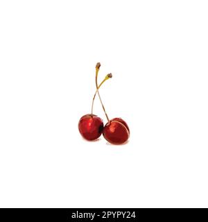 Cherry illustration geometric symbol simple logo vector Stock Vector