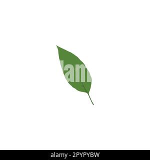 Leaf, illustration geometric symbol simple logo vector Stock Vector