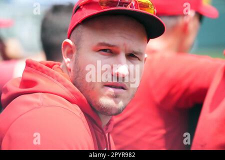 Los Angeles Angels' Mike Trout celebrates with teammates after their 10-6  win over the Toronto Blue Jays in a baseball game in Toronto, Sunday, July  1, 2012. (AP Photo/The Canadian Press, Aaron