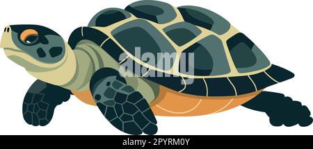 Slow turtle crawls with cute tortoise shell over white Stock Vector