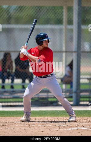 Boston Red Sox Brooks Brannon (17) bats during an Extended