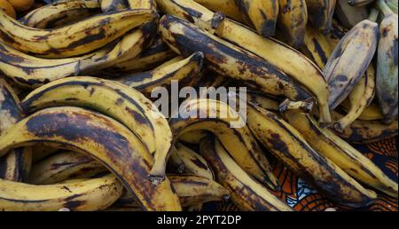 banana fruits from africa as nice food background Stock Photo